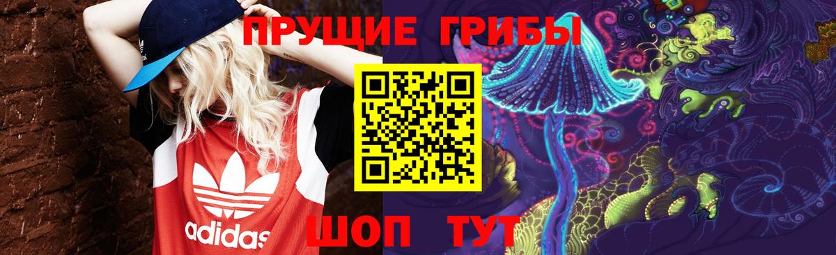 Псилоцибиновые грибы GOLDEN TEACHER  Вход с VPN  Мыски 
