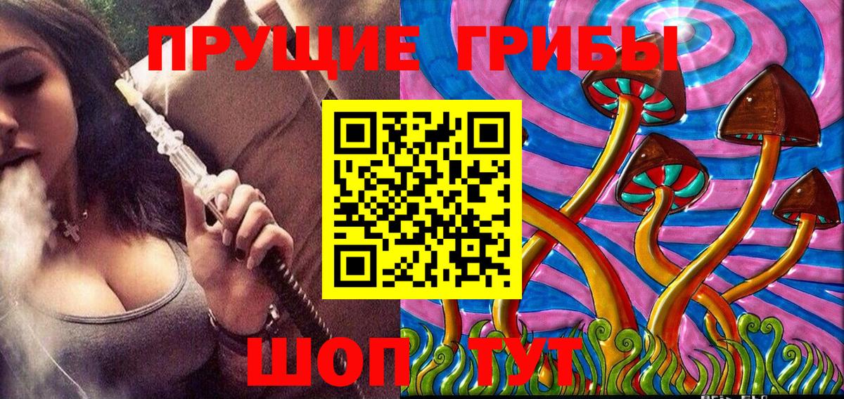 Псилоцибиновые грибы Cubensis Мыски
